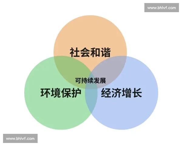 以社会价值为导向推动可持续发展的战略路径与实践探索